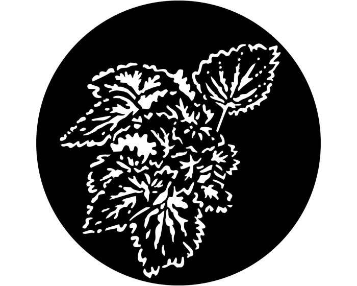 Apollo (1012) Foliage Begonia Steel Gobo