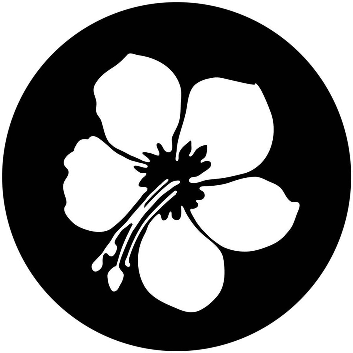 Apollo (1164) Hibiscus Flower Steel Gobo