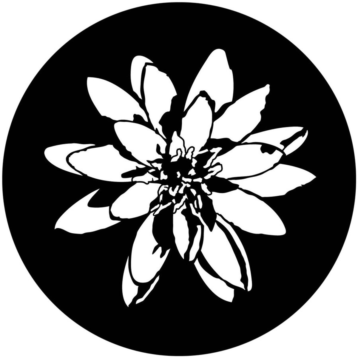 Apollo (1166) Water Lily Steel Gobo