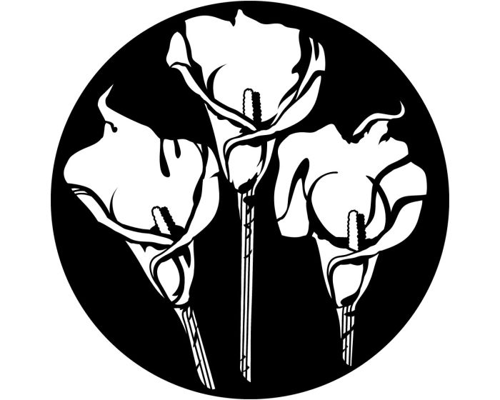 Apollo (1185) Calla Lily Trio Steel Gobo