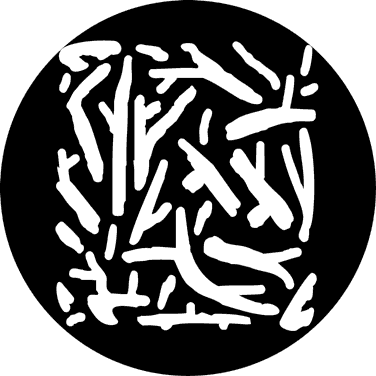 Apollo (1306) Breakup Tiling Twig Steel Gobo