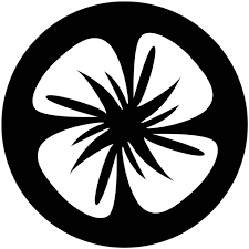 Apollo (2050) Breakup Petal Large Steel Gobo