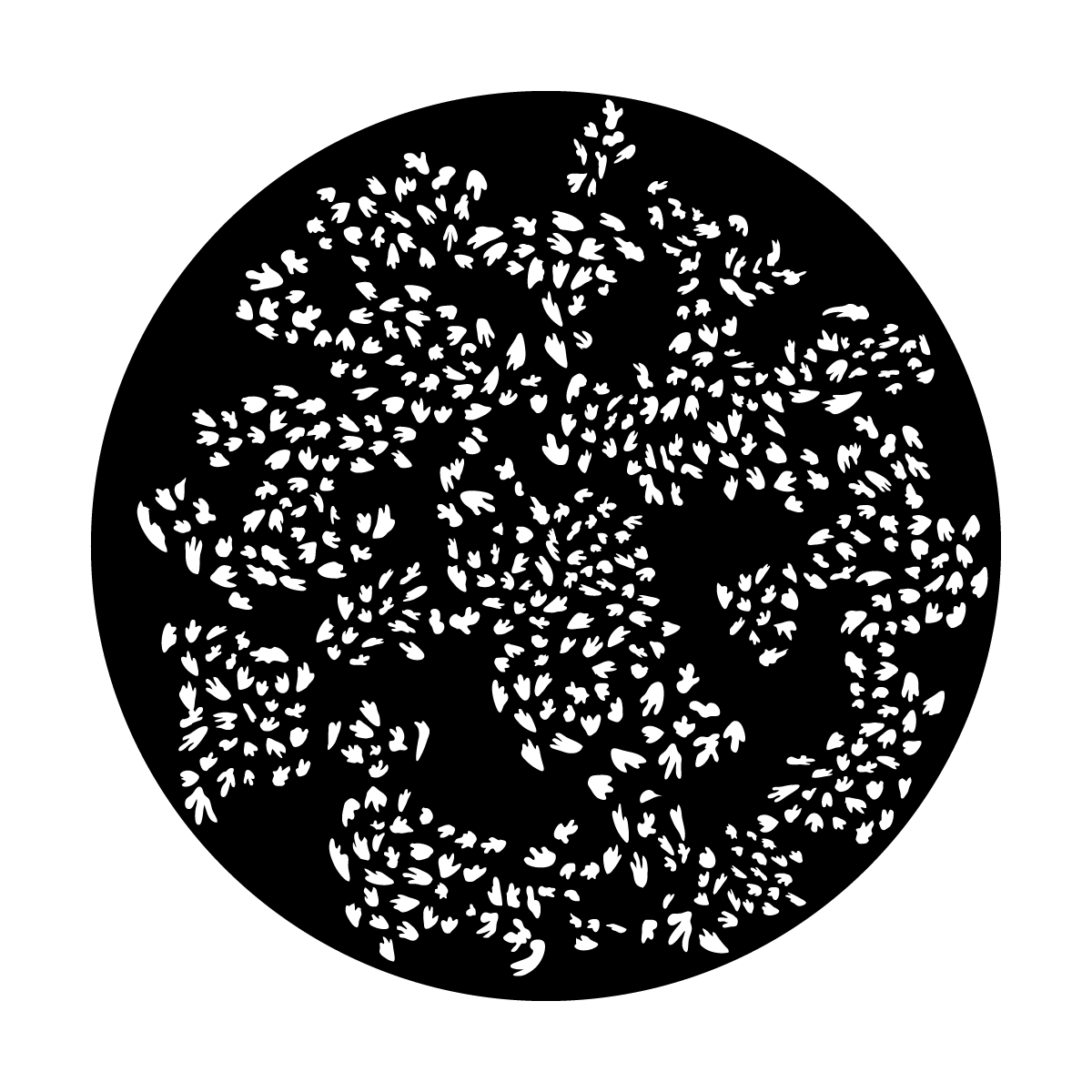 Apollo (2170) Duck Tracks Steel Gobo