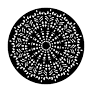 Apollo (2455) Turkish Lace Steel Gobo