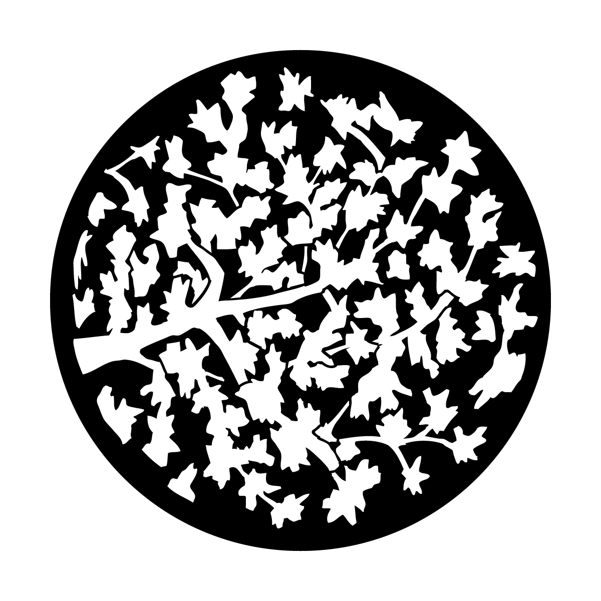Apollo (1010) Leaves With Limb Steel Gobo