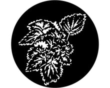 Apollo (1012) Foliage Begonia Steel Gobo