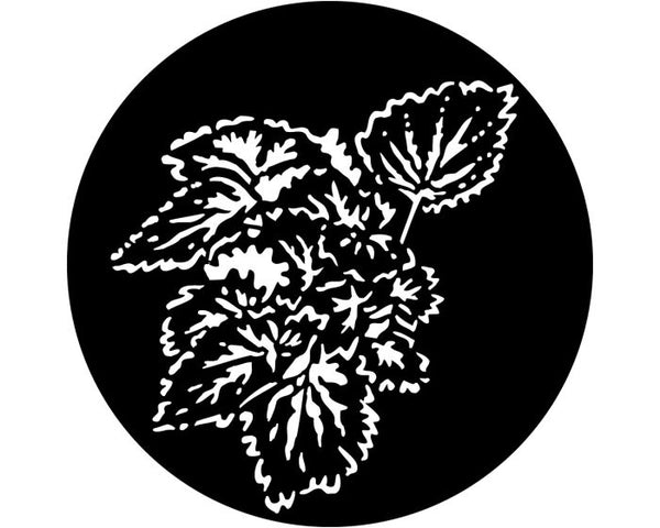 Apollo (1012) Foliage Begonia Steel Gobo