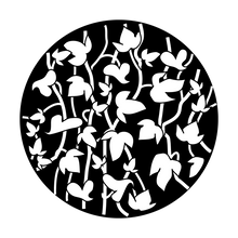 Apollo (1015) Foliage Climbing Ivy Steel Gobo