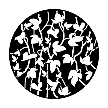 Apollo (1015) Foliage Climbing Ivy Steel Gobo
