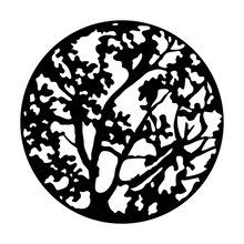 Apollo (1017) Spring Branches Steel Gobo