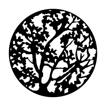 Apollo (1017) Spring Branches Steel Gobo