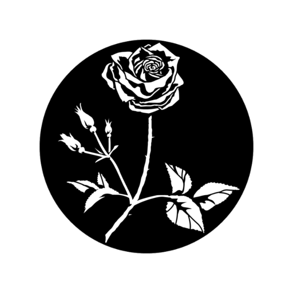 Apollo (1059) Rose with Stem Steel Gobo