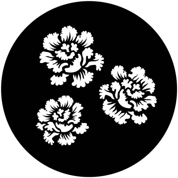 Apollo (1126) Rose Porcelain Steel Gobo