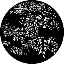 Apollo (1133) Foliage Forest Steel Gobo