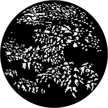 Apollo (1133) Foliage Forest Steel Gobo