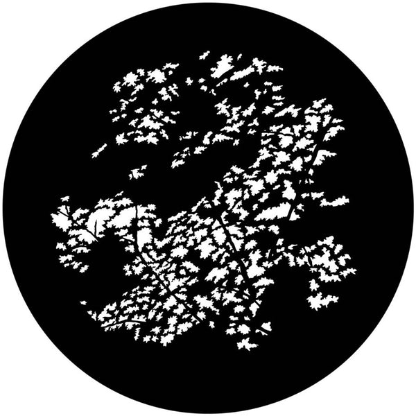 Apollo (1134) Foliage Forest 2 Steel Gobo