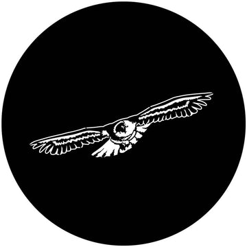 Apollo (1136) Soaring Eagle Steel Gobo