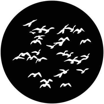 Apollo (1137) Flock of Birds Steel Gobo