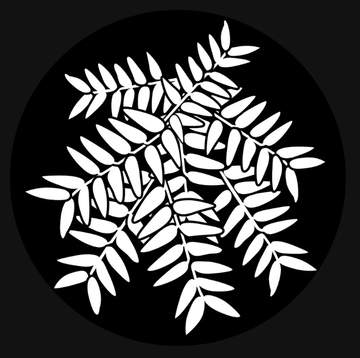 Apollo (1142) Ash Leaves Steel Gobo