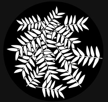 Apollo (1143) Ash Branches Steel Gobo