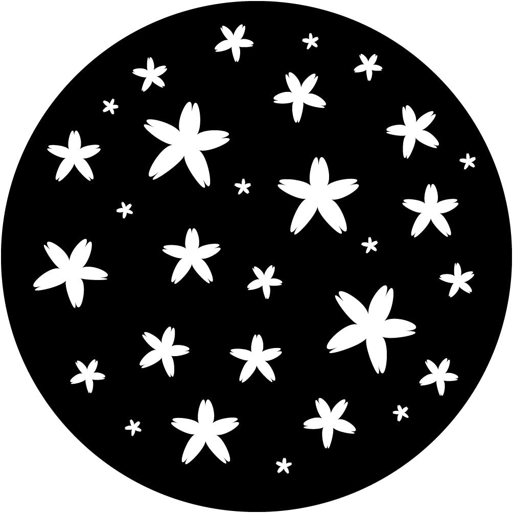 Apollo (1157) Asterisk Flowers Steel Gobo