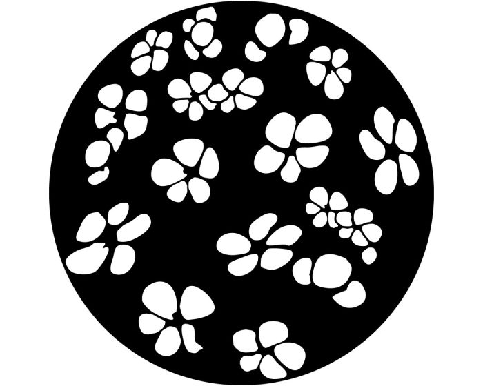 Apollo (1161) Breakup Cherry Blossom Steel Gobo