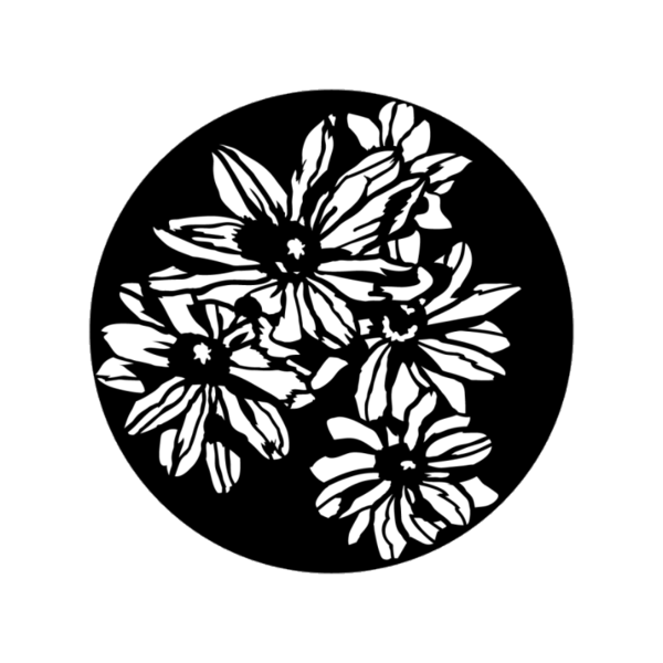 Apollo (1165) Daisy Group Steel Gobo