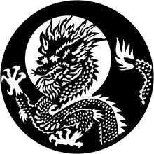 Apollo (1223) Asian Dragon Steel Gobo