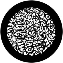 Apollo (2036) Turtle Soup Steel Gobo