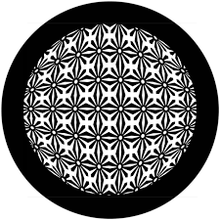 Apollo (2046) Dizzying Flowers Steel Gobo
