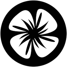 Apollo (2050) Breakup Petal Large Steel Gobo