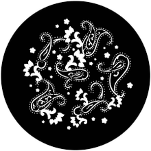Apollo (2099) Breakup Paisley Print Steel Gobo