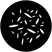 Apollo (2240) Breakup Petals Medium Steel Gobo