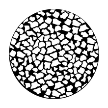 Apollo (2258) Giraffe 1 Steel Gobo