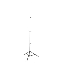 Godox 300F Light Stand (9.8')