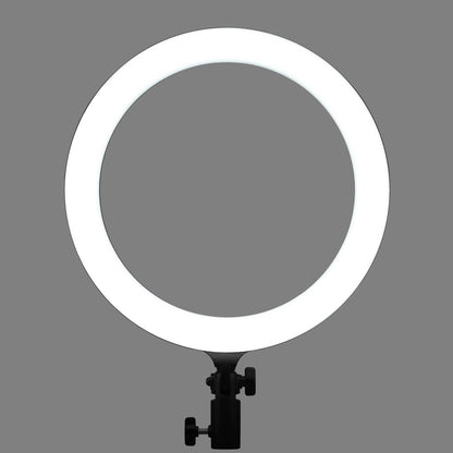 Godox LR120 LED Ring Light (Black)