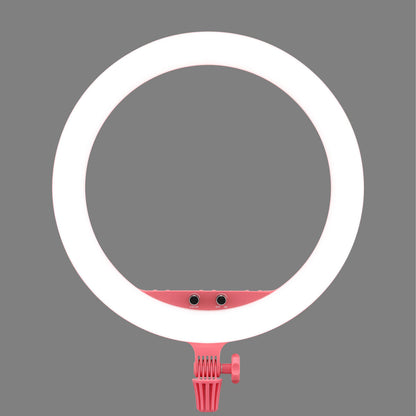 Godox LR150 LED Ring Light (Pink)