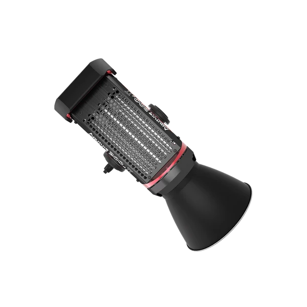 Aputure LS 300d II (Gold-Mount)