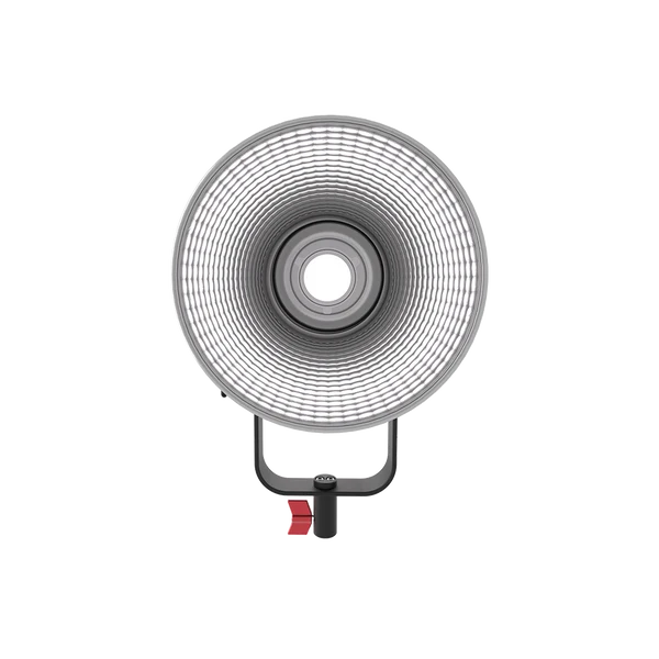 Aputure LS 300d II (Gold-Mount)