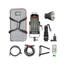 Aputure LS 300d II (Gold-Mount)