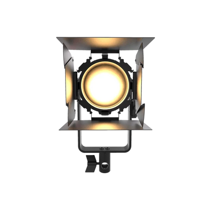 Aputure LS 60x