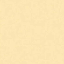 Roscolux #6 - No Color Straw Gel Sheet 20"x24"