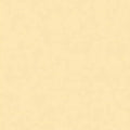 Roscolux #6 - No Color Straw Gel Sheet 20"x24"