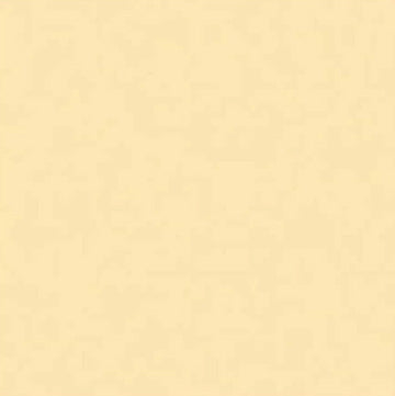 Roscolux #6 - No Color Straw Gel Sheet 20"x24"