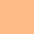 Roscolux #09 - Pale Amber Gold Gel Sheet 20"x24"