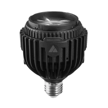 Astera Sola Bulb Kit