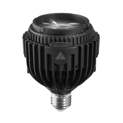 Astera Sola Bulb Kit