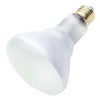 Westinghouse (05204) 45BR30/Flood 120 Volt