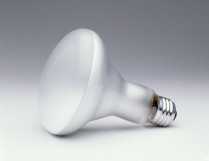 Osram (14779) 300BR40 FL 120V