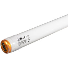 kino flo 2' 800ma FK32 Safety-Coated